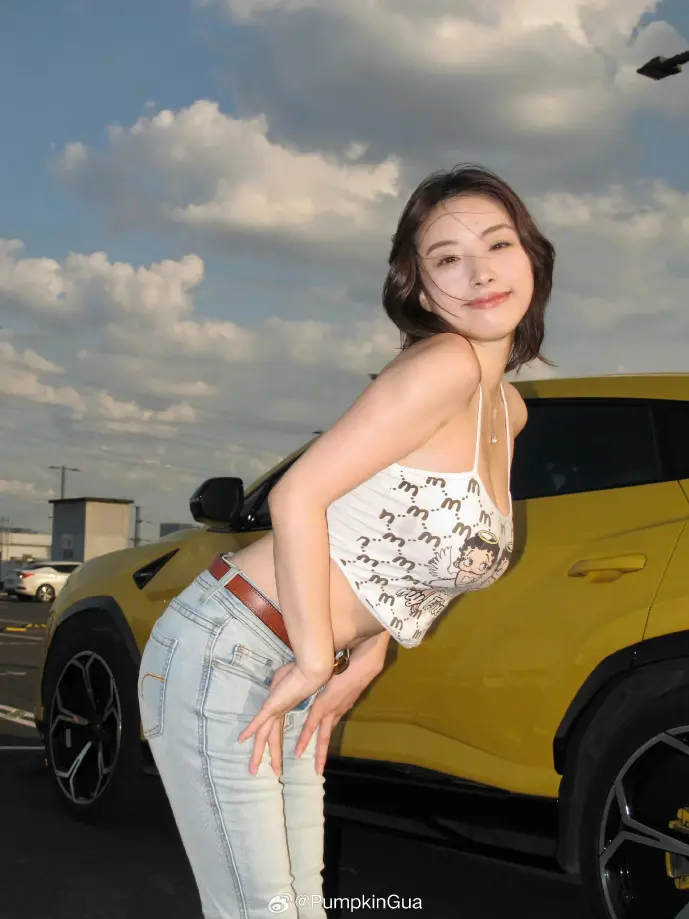 辰东小说下载数据图表