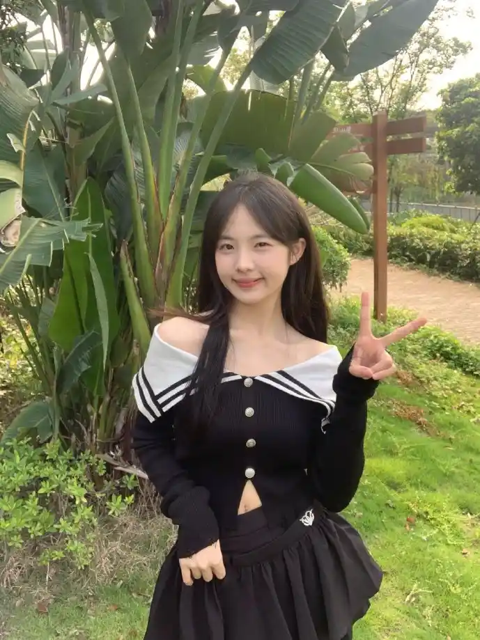 VS Code插件市场数据分析